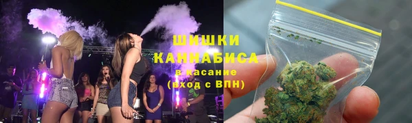 индика Богданович