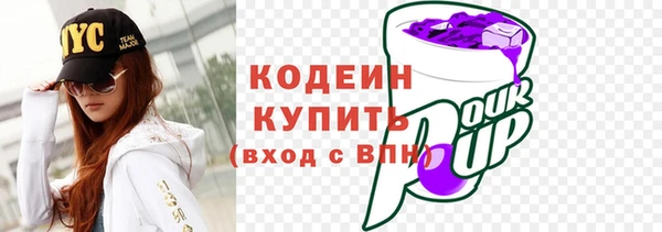 индика Богданович