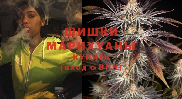 индика Богданович